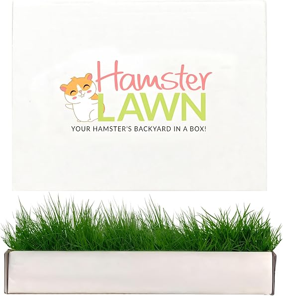 DoggieLawn Natural Grass Mat for Small Pets - Fresh Real Grass Bed - Indoor/Outdoor Lounging Pad for Hamsters, Guinea Pigs & Other Small Animals - Disposable, Natural (Petite)