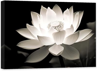 CCWACPP Zen Wall Art White lotus Flowers Canvas Painting Black and White Floral Picture Print Spa Yoga Meditation Spiritual Room Decor Frame Zen - 3, 12x18inch