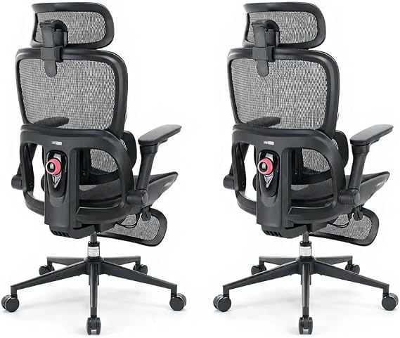 SIHOO B300 Pro Ergonomic Office Chair with Footrest, 4-Way Lumbar Support