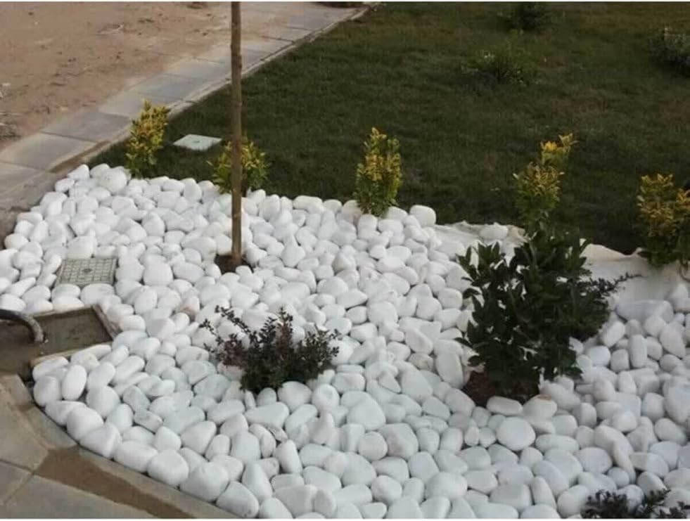 Beyaz Dolomit Taş 20 Kg 4-6 Cm Bahçe Süs Taşı Dekoratif Taş Dere Taşı Loche