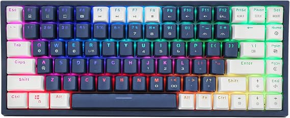 CQ84 Wireless Mechanical Gaming Keyboard, Compact 84 Keys, Programmable RGB Backlight, 60% Keyboard, Blue and White Keycaps for Ipad, Android/windows Tablet, Desktop, PC Gamer(Brown Switch)