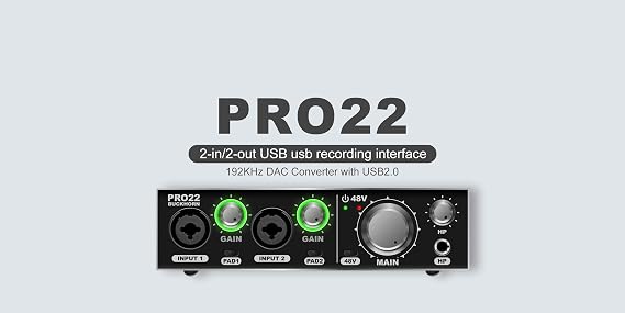 PRO22 2-in/2-out audio interface