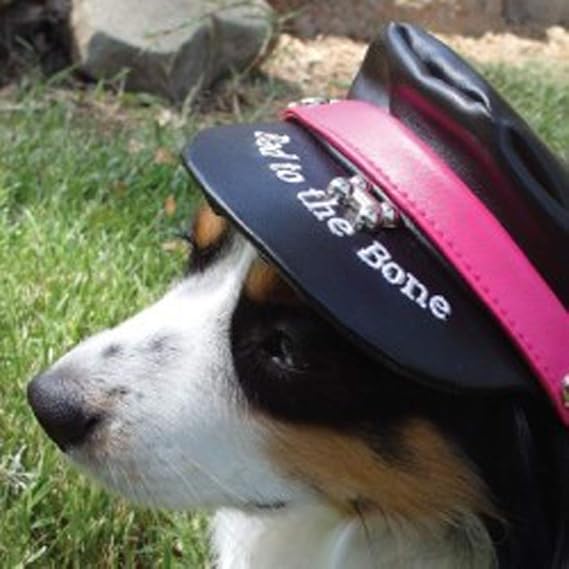 Large Magenta Flat Biker Hat for Dogs
