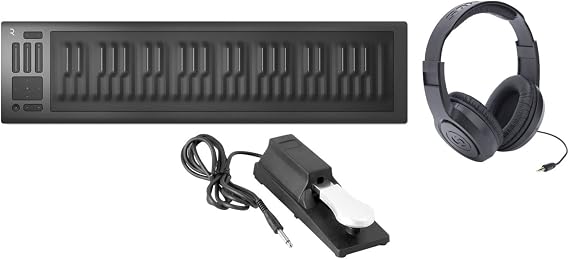 Roli Seaboard RISE 49 USB Keyboard Midi Controller/Synthesizer with Sustain Peda