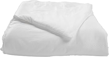 Natural Comfort Ultra Deluxe 100-Percent Natural Mulberry Silk Filled Dobby White Comforter for All Seasons, Twin