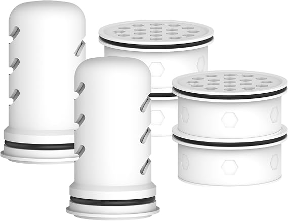 MARRIOTTO Pitcher Filters Compatible with LifeStraw, Carbon+Ion 2+4