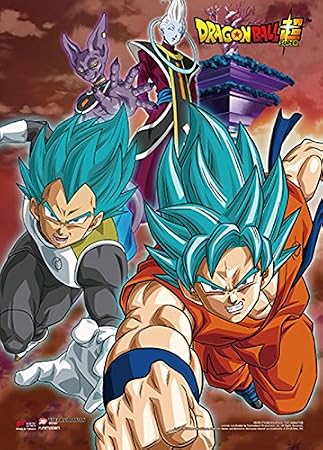 Dragon Ball Z Wall Scroll, Poster, One Size, Multicolor