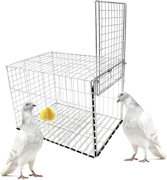 One Way Entry Pigeon Trap, Portable and Easy to Assemble Outdoor Bird Cage with Escape Proof Design Spacious Bird Cage Pigeon Cage Suitable for Parrots Suitable for Roofs Open Gardens Farms Barns