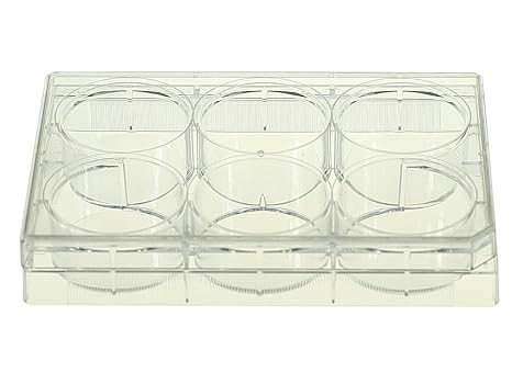 Nest Scientific 703001 Polystyrene 6 Well Cell Culture Plate, Flat Bottom, Tissue Culture Treated, Sterile, Clear, 1 per Pack, 50 per Case (Pack of 50)