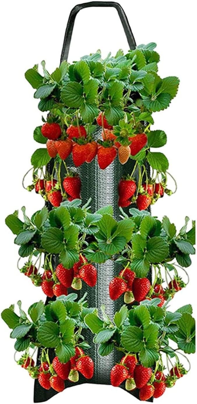 Upside Down Tomatoes Planter, Grow Hanger Bag for Tomatoes Chili Fruit, Garden Hanging Tomatoes Strawberry Planting Grow Bag FJIUMOZEN (1pcs Dark Green 8 Holes)