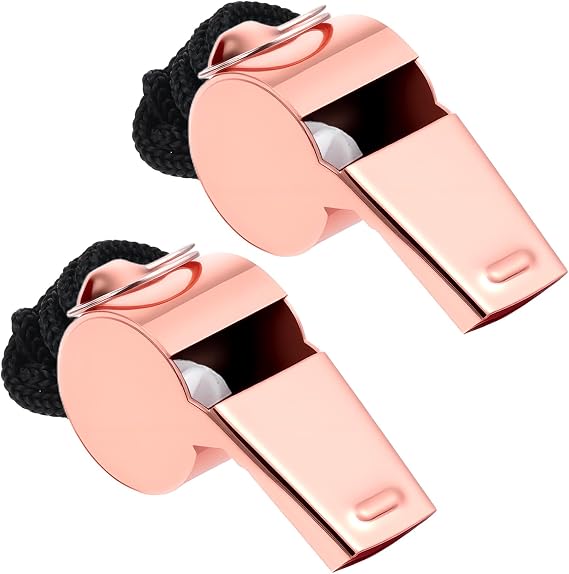 2 Pack Stainless Steel Whistle with Lanyard Coach Whistle Sports Whistles