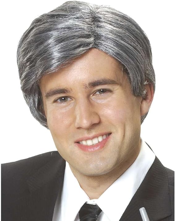 Costume Culture Men's Silver Fox Wig