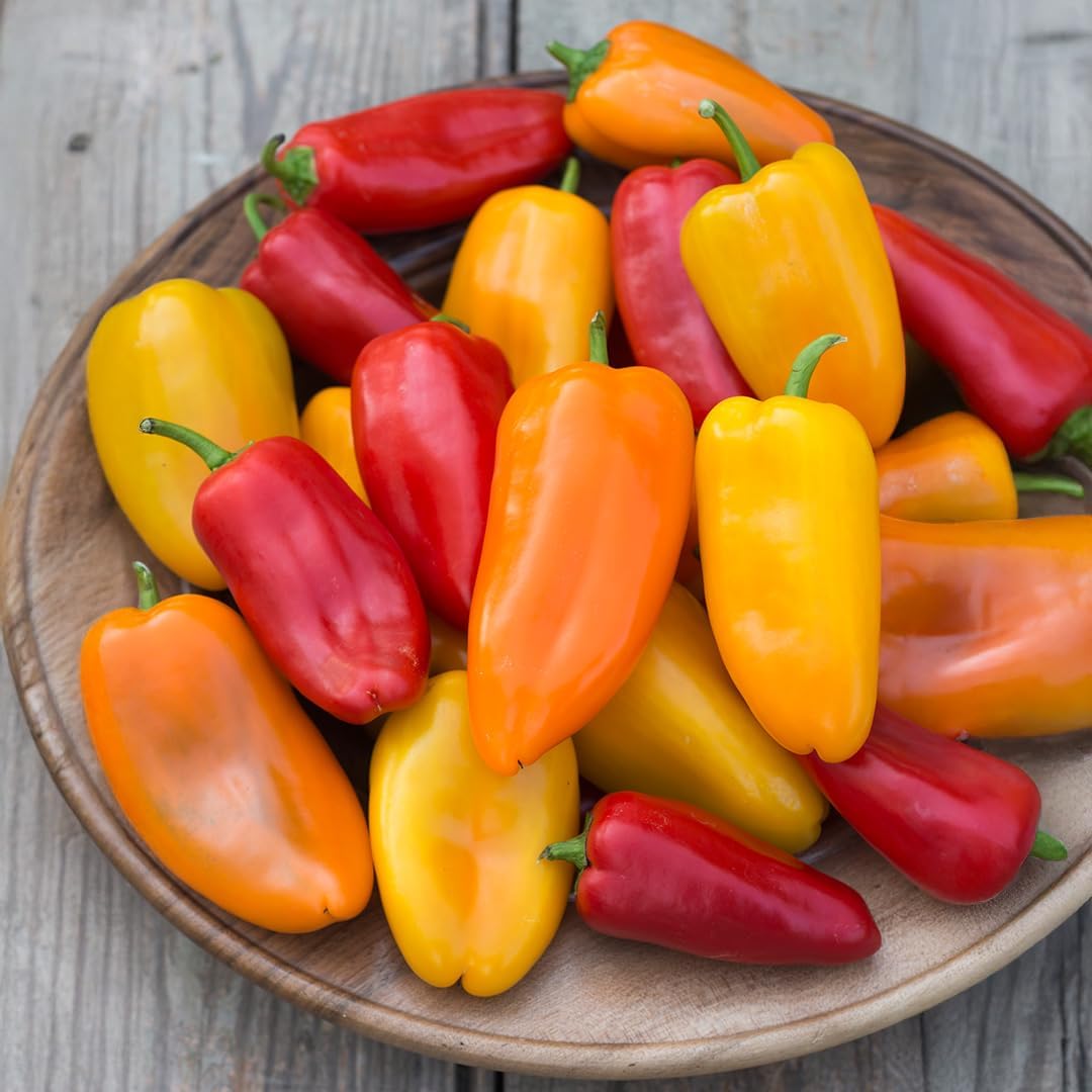 PREMIER SEEDS DIRECT - Sweet Pepper - Snack BITE Mix (7 Seeds)
