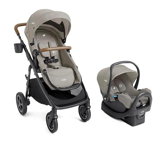 Joie Ginger DLX 4-in-1 Stroller & Rue Car Seat Travel System