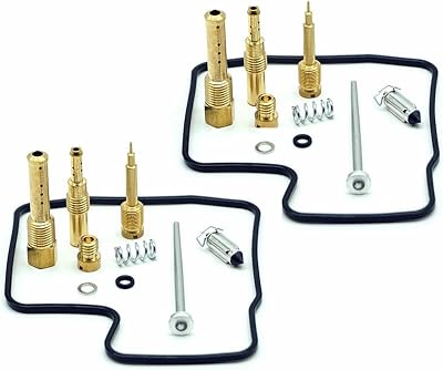 Motorbike Fuel Supply for 400 VLX NV400 Carburetor Repair Kit Rebuild Set Carb Float Needle Valve Jets Screws Gasket Parts Carburetor Kit Color : 2 Kits
