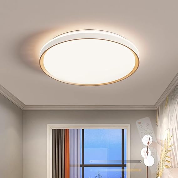 LED Modern Ceiling Light with Remote Control Ceiling Lamp 2700K-6500K Dimmable Ceiling Lighting Indoor Minimalist White Round Acrylic Iron for Living Room Bathroom (40cm,White) [Energy Class A]