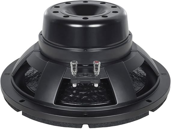 B&C Speakers 12BG100-8 LF Drivers 12-Inch Neodymium 1000 Watts Rms 2000 Watts Max Copper Voice Coil 8 Ohm Pro Audio Component Speaker Driver for Motorcycle Car