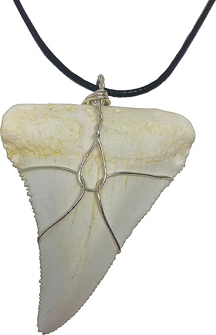 Realistic Replica Great White Shark Tooth Necklace