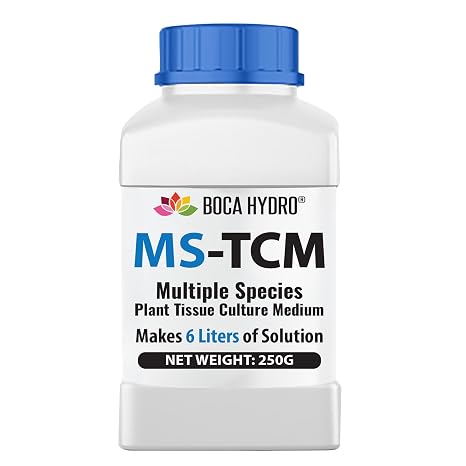 MS TCM Murashige & Skoog Plant Tissue Culture Medium Complete Blend with Sucrose & Agar Supports Micropropagation Rooting Works with All PGRs (250g)