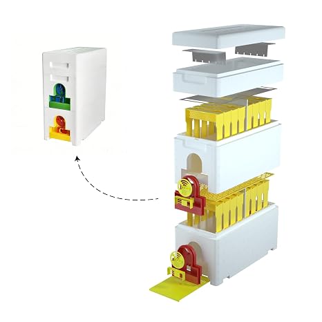 1set 4-Way Queen Bee Nuc Box 120kg/m3 High-Density EPS Foam| Multi-Queen Rearing Complete Small Hive Kit for Beginner & Hobbyist Beekeepers