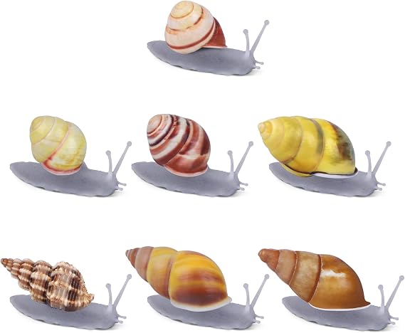 Natural Snail Shell Refrigerator Magnets - Decorative Grey Glass Magnets (7 PCS)