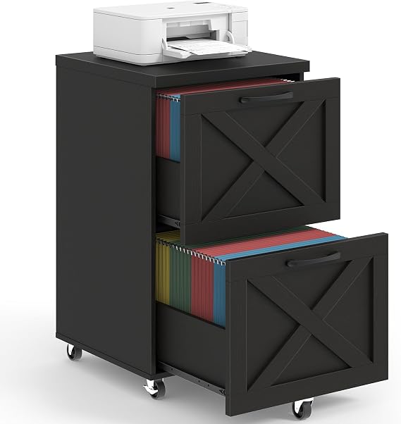 Halitaa Farmhouse 2 Drawer Small File Cabinet with Wheels, Black