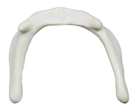 Hyoid Bone Model - Anatomically Accurate Human Bone Replica - hBARSCI