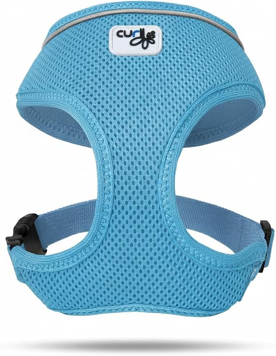 Curli Basic Harness Air-Mesh Skyblue XL