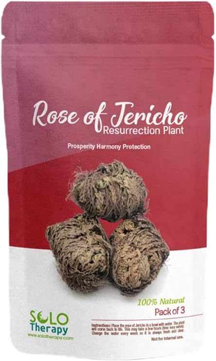 Rose of Jericho Flower The Resurrection Plant | Pack of 3 Dried Roses | Prosperity, Harmony and Protection Sacred Rose | 3" - 4" Each (3)