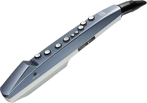 Roland AE-01 Aerophone mini | Compact Digital Wind Instrument | Easy-to-Learn | 6 Onboard Tones | Built-in Speaker | Headphone Connectivity | Bluetooth Enabled