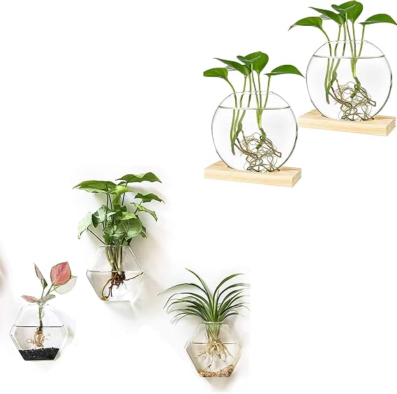 Kingbuy Wall Hanging Planter Glass Terrarium Propagation Station 3 Geometric Hexagon Shaped Vase and Desktop 2 Round Glass Planter with Wooden Stand for Home Office Decor