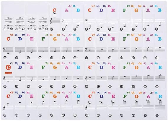 Transparent Piano Keyboard Sticker, Removable Note Stickers, for 61 88 Key Electronic Pianos Beginners (Color)