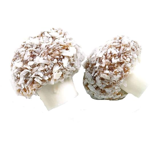 Taveners Coconut Mushrooms 1 Kilo Bag