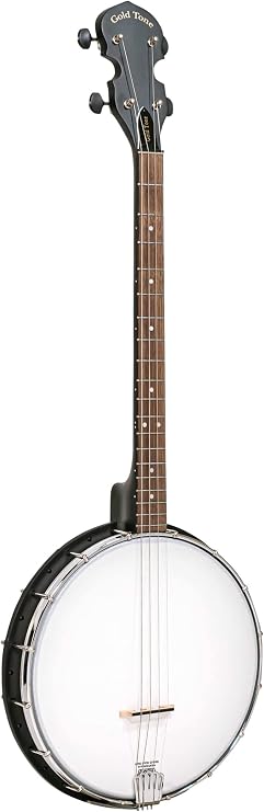 Gold Tone AC-4 Acoustic Composite Irish Tenor 4-String Banjo