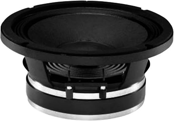 B&C Speaker 10PE26-8 LF Driver 10" High Efficiency Midbus 2.5" Aluminum Voice Coil 250W Rms 500W Max 8 Ohm Pro Audio Component Speaker Driver for Motorcycle Car