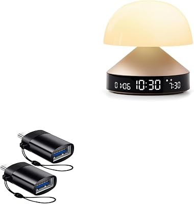 BoxWave Cable Compatible with Lexon Mina Sunrise - USB-C to A PortChanger 2-Pack, USB Type-C OTG USB Portable Keychain - Slate Black
