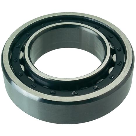 FAG Bearings SINGLE ROW CYLINDRICAL ROLLER BEARINGS (NUP307-E-TVP2-C3)