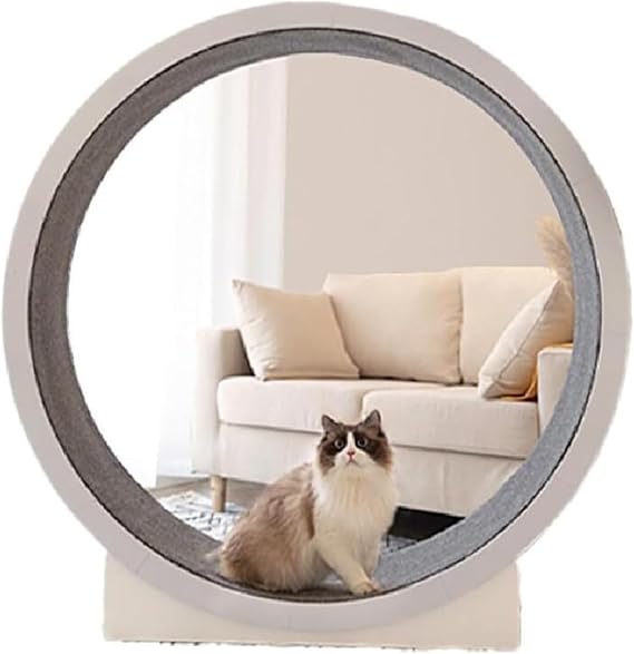 Cat Exercise Wheel - Plastic Cat Wheel for Indoor Cats, Cat Running Wheel with Carpeted Runway, Ultra Easy Installation, Grey Cat Treadmill for Kitty's Health, Support Up to 10KG