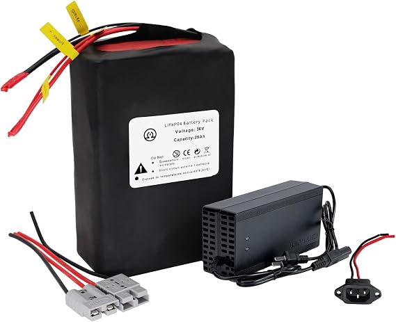 36 V 18/20 /25 AH Portable Energy Supply B a ttery |  with Matching Fast Charger & 0-1500W