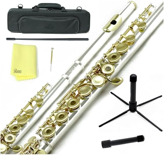 Sky C Flute with Lightweight Case, Cleaning Rod, Cloth, Joint Grease and Screw Driver - Silver/Gold Open Hole