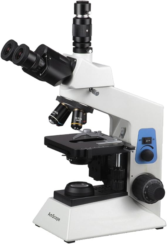 AmScope T580B 40X-2000X Professional Research Biological Compound Microscope