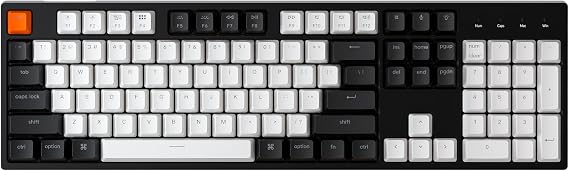 Keychron C2 Full Size Wired Mechanical Keyboard for Mac Support Hot Swap Gateron G Pro Red Switch White Backlight 104 Keys ABS Keycaps Gaming Keyboard Windows Type-C Braided Cable