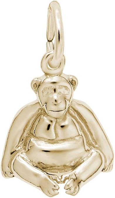 Rembrandt Sitting Monkey Charm