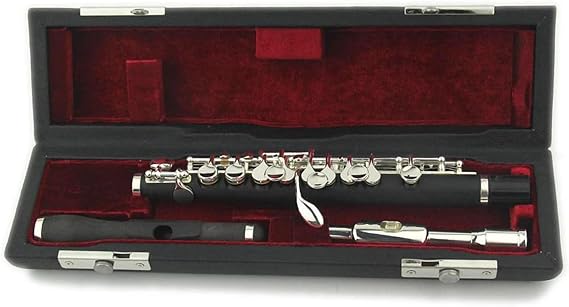 Piccolo Flute Piccolo Musical instruments