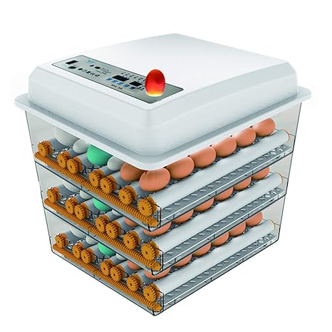 Egg Incubator - Egg Incubator with Automatic Egg Turning and Humidity Control,Large Poultry Hatcher for Chickens Birds Ducks (176 Eggs)