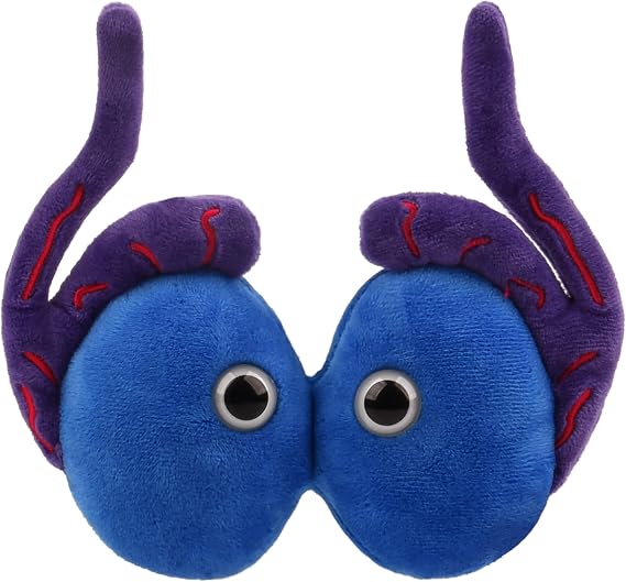 GIANT MICROBES Testicle Plushie Toy, Testicles Gift, Testicular Cancer Awareness, Vasectomy Gifts, Urology Gifts, Urology Nursing, Testicle Pillows