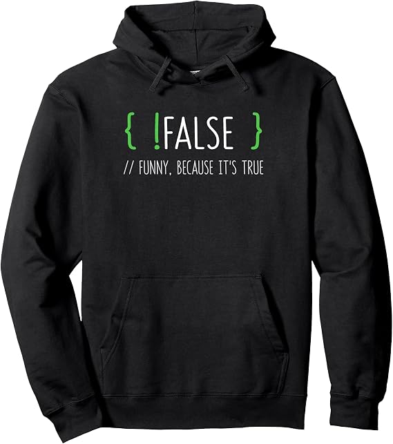 Programmer Computer Engineer Funny False Programming Coding Pullover Hoodie