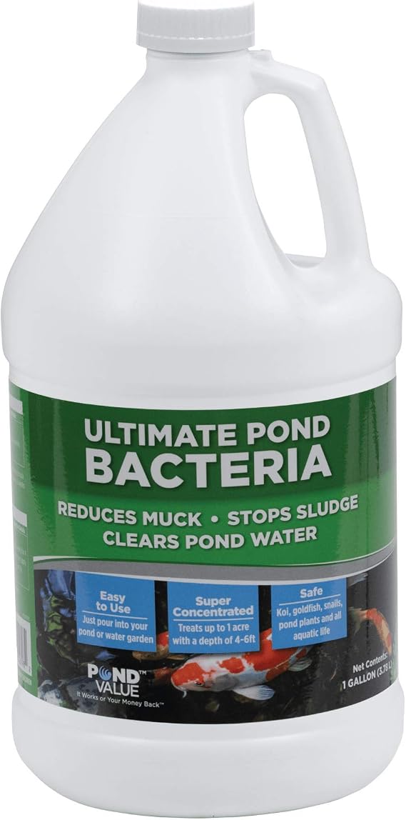 PondValue Ultimate Pond Bacteria Treatment for Outdoor Ponds & Lakes, 1 Gal