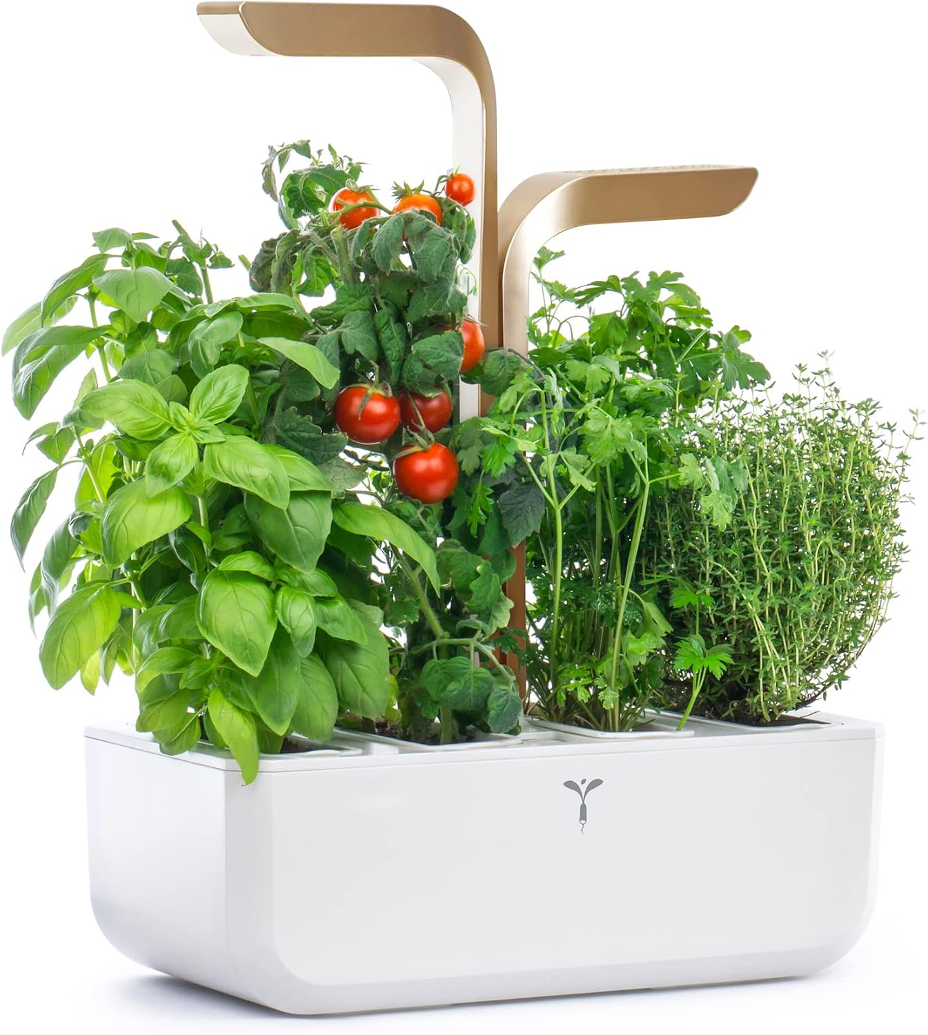 Veritable Connect Indoor Garden, Moonlight Gold