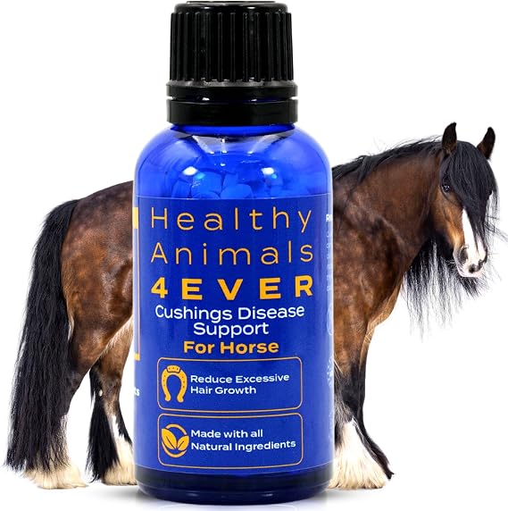 HA4E - Horse Digestive Support for Cushings Disease - Preventative Care - Highly Effective, Natural Homeopathic Supplement - 300 Tablets